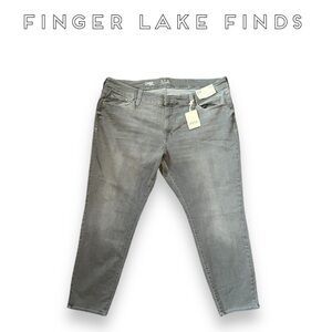 Ana Mid Rise Gray Skinny Jeans, 22W